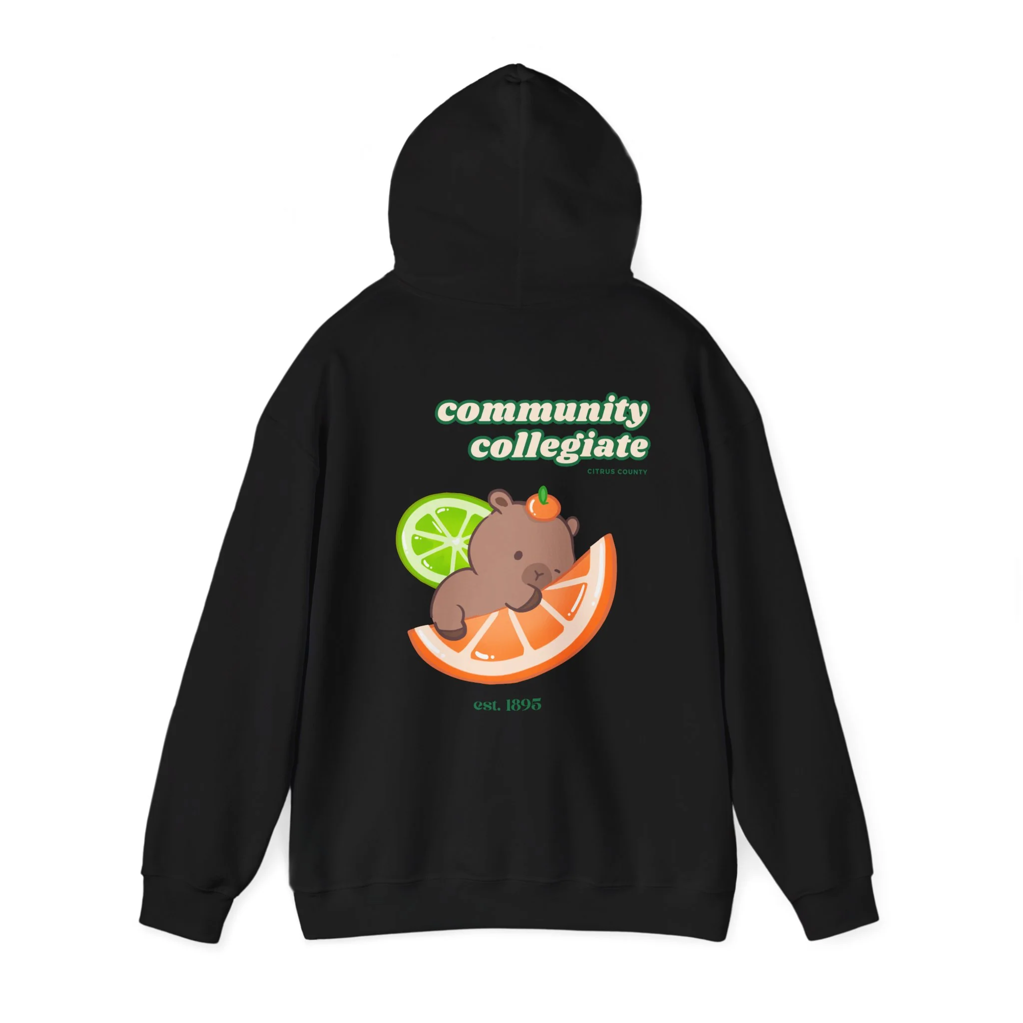 Citrus County Hoodie - Image 14